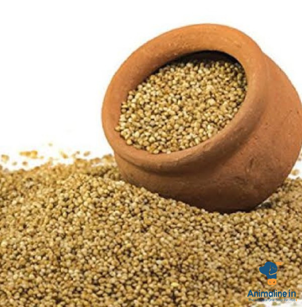 Navane medium quality 